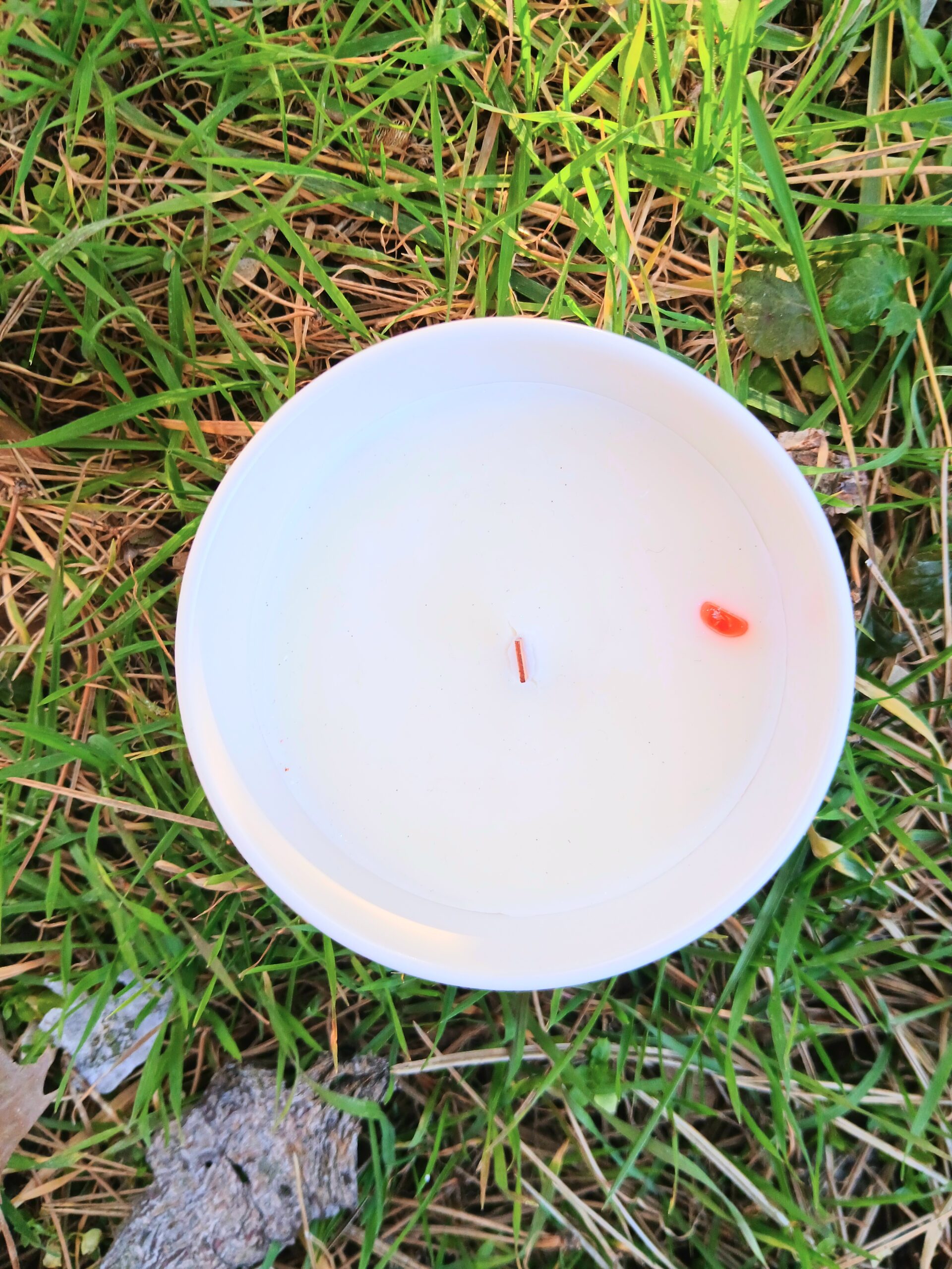 Svíčka znamění zverokruhu Panna - Obrázek 2