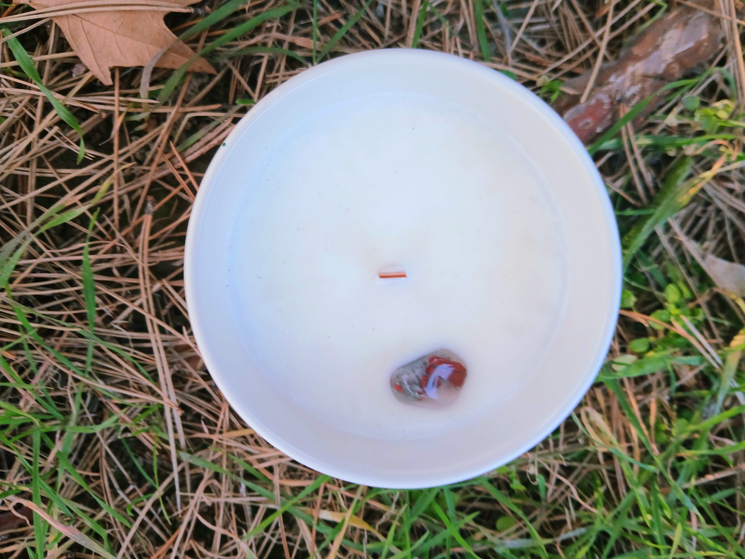 Svíčka pro znamění zverokruhu Beran - Obrázek 2