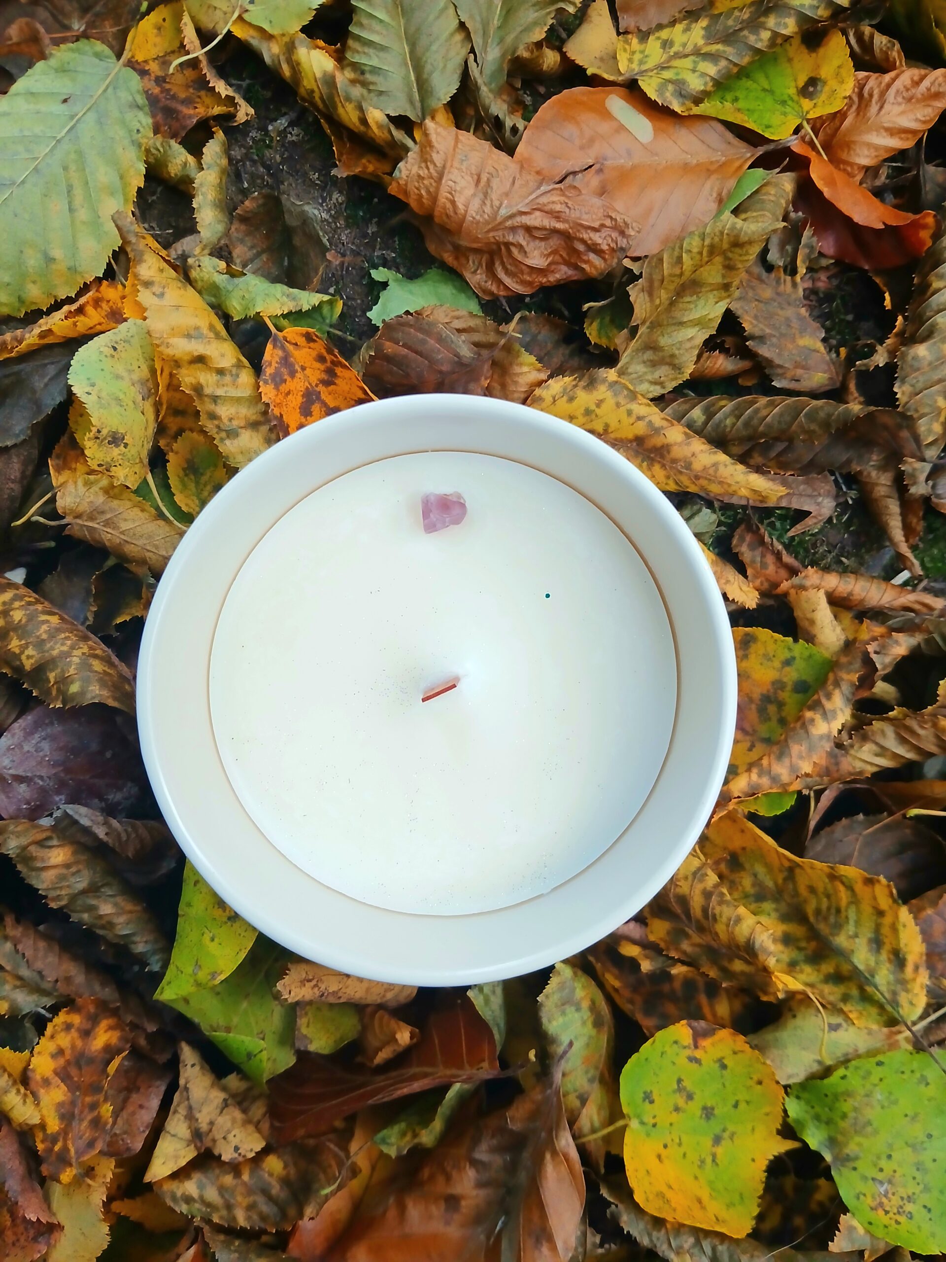 Svíčka Ryby znamení zvěrokruhu - Obrázek 2