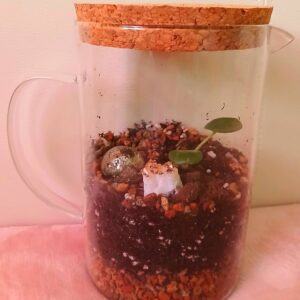 Terárium pro podporu financí a celkové hojnosti