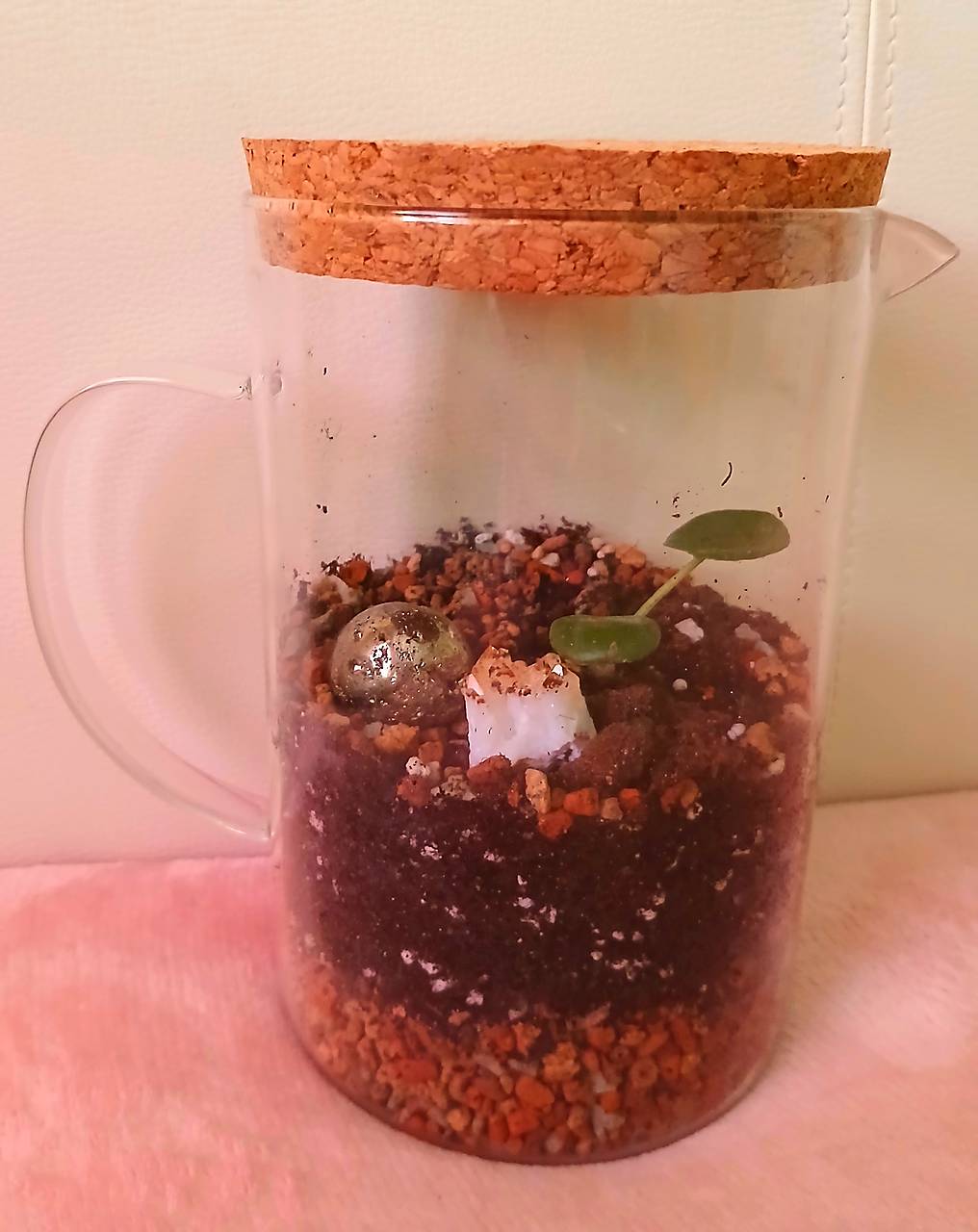 Terárium pro podporu financí a celkové hojnosti